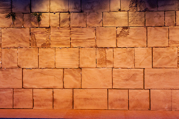 20250827-IMG_0195