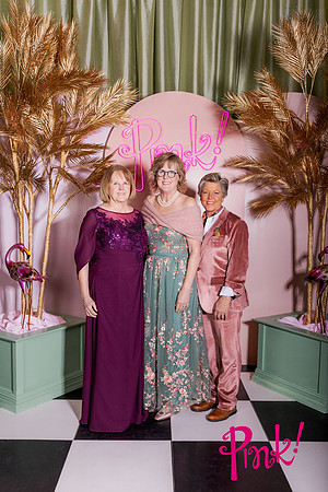 Pink Gala Daisy Moffatt Photography_0007