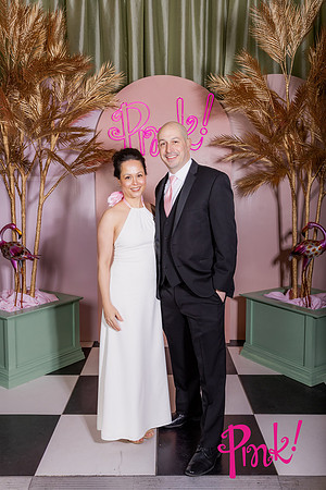 Pink Gala Daisy Moffatt Photography_0078