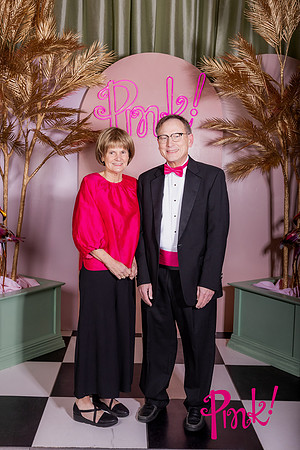 Pink Gala Daisy Moffatt Photography_0033