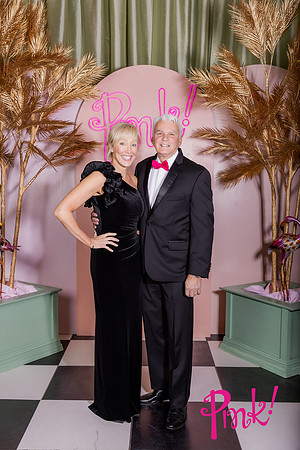 Pink Gala Daisy Moffatt Photography_0087