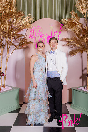 Pink Gala Daisy Moffatt Photography_0119