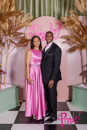 Pink Gala Daisy Moffatt Photography_0116