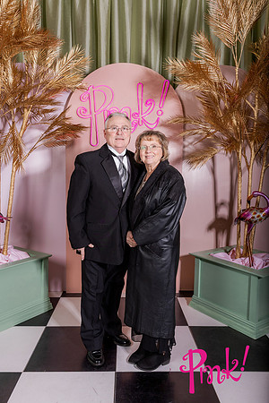 Pink Gala Daisy Moffatt Photography_0162