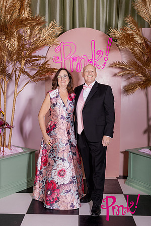Pink Gala Daisy Moffatt Photography_0048