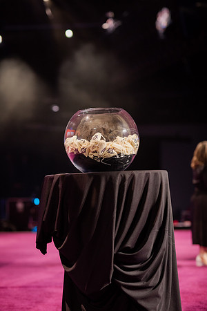 20260730-IMG_0023