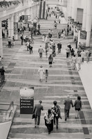 20260728-IMG_0677-2