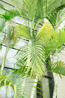 20260730-IMG_0058