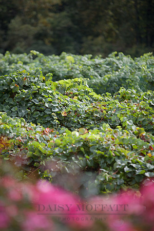 20130921pf_063