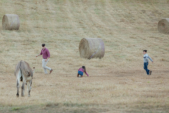 IMG_1124
