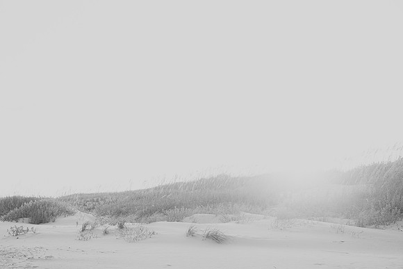 20160708_0084-2
