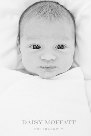 20130926_0035bw