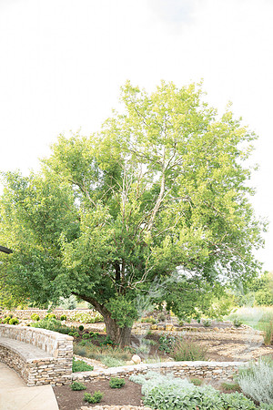 20200802pf_224